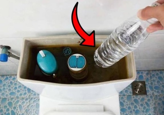 Đặt một chiếc chai nhựa vào bể chứa nước của bồn cầu, lợi ích tuyệt vời trong việc xử lý mùi hôi và khử trùng