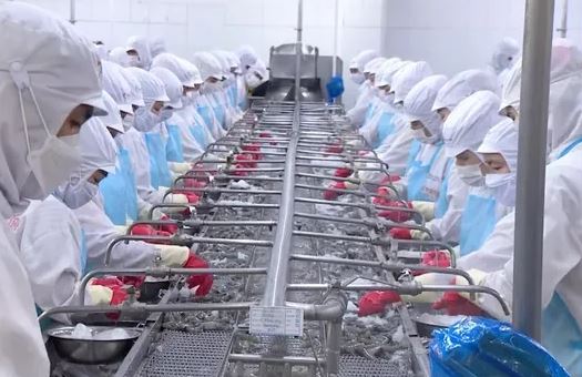 Doanh nghiệp xuất khẩu thuỷ sản tìm kiếm thị trường mới