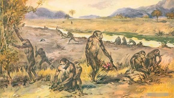 Con người đều do phụ nữ sinh ra, vậy người phụ nữ đầu tiên đến từ đâu trước khi có con người?