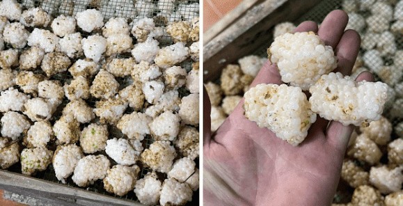 Có một loại trứng không dùng để ăn, được bán với giá 800 nghìn đồng/kg vẫn cháy hàng