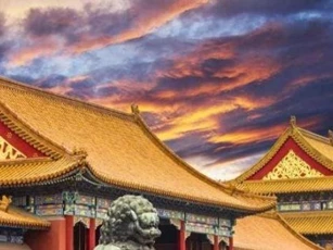 Hơn 600 năm, vì sao không có phân chim trên nóc Tử Cấm Thành?