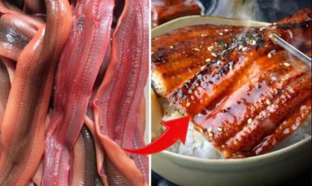 Đây là thực phẩm được ví như 'sâm động vật', được bày bán đầy chợ nhưng nhiều người sợ không dám mua về ăn