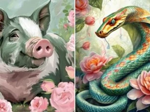 Tử vi 12 con giáp ngày 4/12/2024: Tuổi Tỵ rực rỡ may mắn, tuổi Hợi cần bản lĩnh vượt thử thách