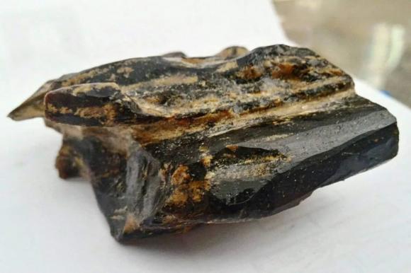 Kỳ Nam là gì? Vì sao Kỳ Nam có giá tới 30 tỷ đồng/kg?