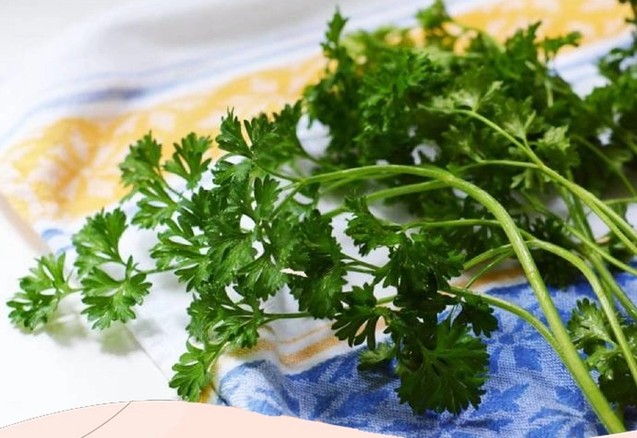 Việt Nam có nhiều loại cây là “vua thuốc bổ” giúp lọc sạch máu, đường huyết điều hòa, nhưng đang bị bỏ phí