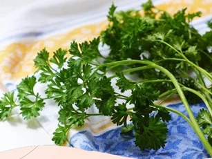 Việt Nam có nhiều loại cây là “vua thuốc bổ” giúp lọc sạch máu, đường huyết điều hòa, nhưng đang bị bỏ phí