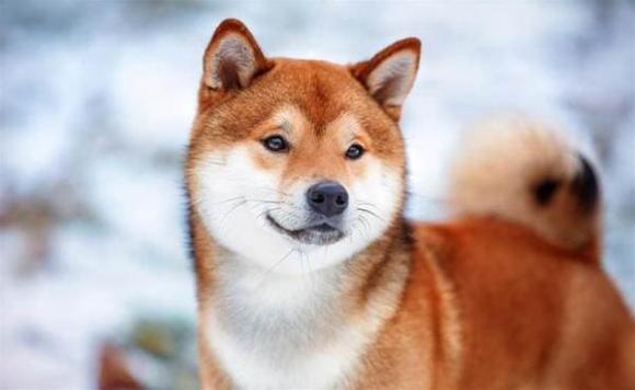 Vì sao người nghèo luôn thiếu tiền và thời gian? 4 câu nói sẽ soi đường chỉ lối cho bạn