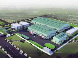 Xây lắp Dầu khí miền Trung PXM bị phạt gần 200 triệu đồng