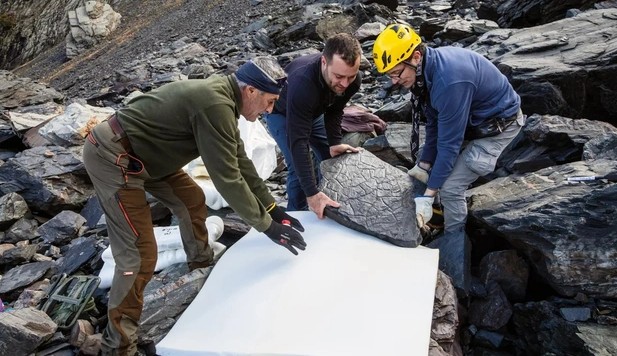 Đi bộ đường dài, tình cờ tìm ra thế giới đã mất 280 triệu tuổi