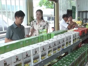 Đột phá phát triển nông sản chủ lực