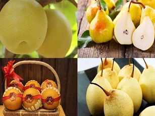Lê bổ dưỡng nhưng có thể gây hại cho số người nếu ăn không đúng cách
