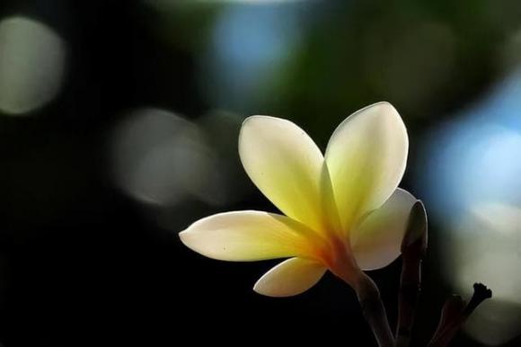 Càng nghèo càng dễ hào phóng sai chỗ: 3 thứ này có thể giữ bạn mãi ở vạch xuất phát