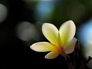 Càng nghèo càng dễ hào phóng sai chỗ: 3 thứ này có thể giữ bạn mãi ở vạch xuất phát