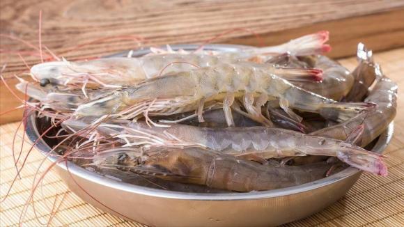 Tôm tươi nên chọn con cong hay thẳng? Chúng khác nhau như thế nào? Lão ngư nói thật, đừng mua nhầm nữa