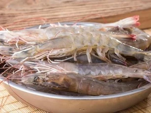 Tôm tươi nên chọn con cong hay thẳng? Chúng khác nhau như thế nào? Lão ngư nói thật, đừng mua nhầm nữa
