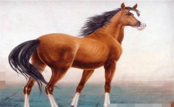 Khám phá giờ sinh mang lại phú quý cả đời cho người tuổi Ngựa