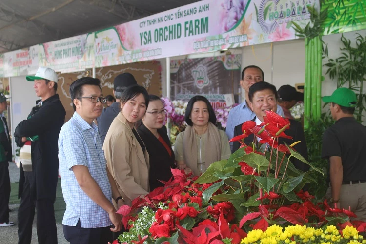 Các loài hoa đua sắc.