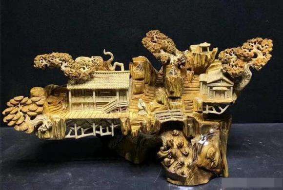 Một cây có giá trị gấp 10 lần vàng, tại sao không có ai trồng cây nanmu vàng khi nó có giá trị như vậy?