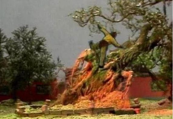 Bị cấm nhận là đệ tử, nhưng khi Tôn Ngộ Không quật đổ cây nhân sâm của Trấn Nguyên Đại Tiên, tại sao hắn vẫn tìm Bồ Đề Tổ Sư nhờ giúp đỡ?