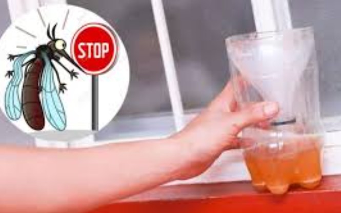 Bia không chỉ để giải khát, tận dụng theo cách này bạn sẽ thấy ngay điều kỳ diệu chỉ sau một đêm