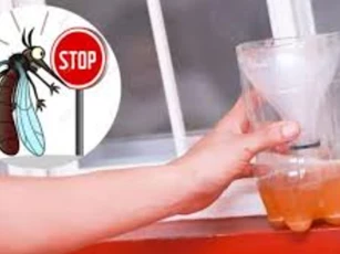 Bia không chỉ để giải khát, tận dụng theo cách này bạn sẽ thấy ngay điều kỳ diệu chỉ sau một đêm