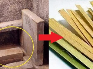 Người xưa dùng gì để lau 'mông' khi đi vệ sinh? Có đủ thứ kỳ lạ, và bạn sẽ bị trừng phạt nếu sử dụng chúng một cách bừa bãi!