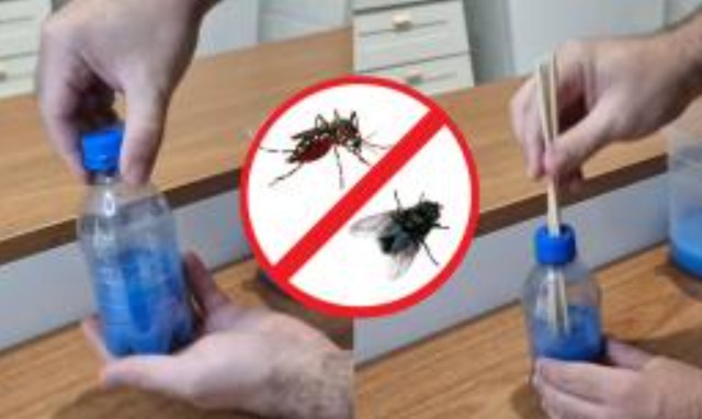 Chỉ bạn mẹo pha dung dịch diệt ruồi muỗi từ 3 nguyên liệu nhà nào cũng có, hiệu quả không kém thuốc chuyên dụng