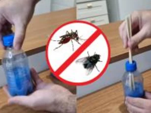 Chỉ bạn mẹo pha dung dịch diệt ruồi muỗi từ 3 nguyên liệu nhà nào cũng có, hiệu quả không kém thuốc chuyên dụng