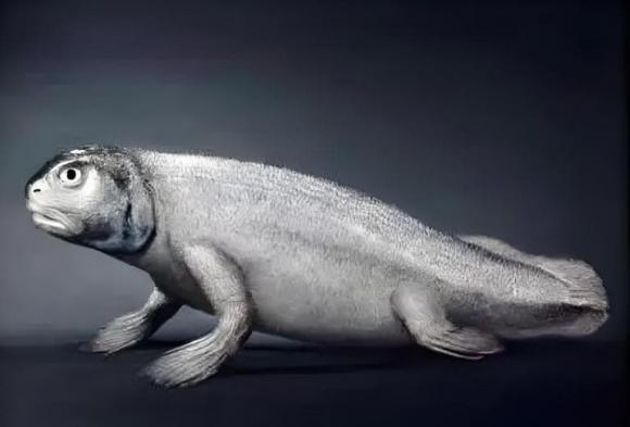 Tổ tiên loài người không phải là vượn mà là một loại cá? “Hóa thạch cá” 400 triệu năm tuổi đưa ra bằng chứng