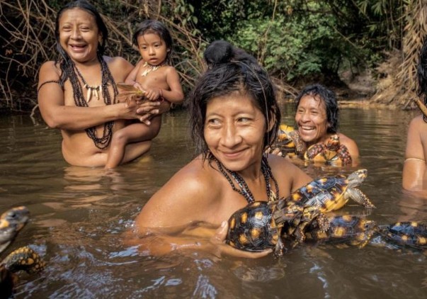 Bộ tộc cho động vật bú sữa như em bé đang đứng trước nguy cơ tuyệt chủng