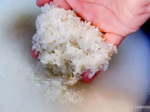 Nấu cơm chỉ với nước là điều không cần bàn cãi! Cho thêm 2 thứ vào nước cơm sẽ thơm và mềm, có hạt rõ rệt