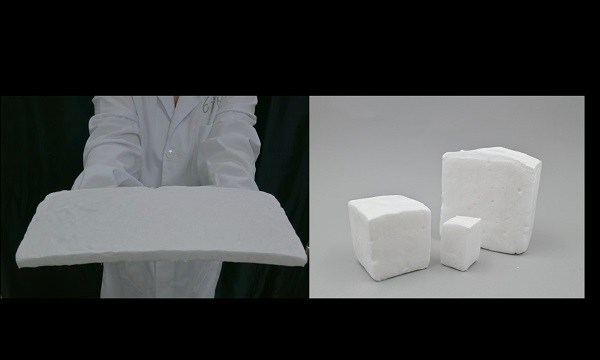 Nghiên cứu thành công loại bọt biển sinh học làm từ bông và xương mực loại bỏ tới 99,8% vi nhựa trong nước 