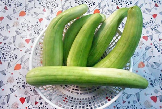 Loại quả cùng họ với dưa chuột, ăn cực giòn ngọt, dù giá rất rẻ nhưng không phải ai cũng mua được