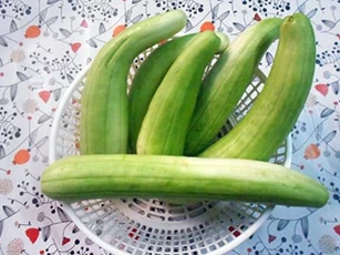 Loại quả cùng họ với dưa chuột, ăn cực giòn ngọt, dù giá rất rẻ nhưng không phải ai cũng mua được