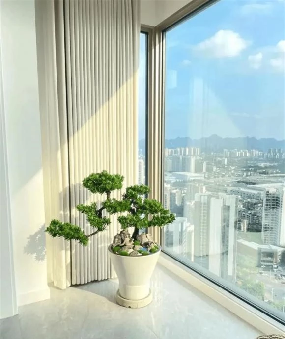 trồng cây, trồng hoa, trồng cây trong nhà