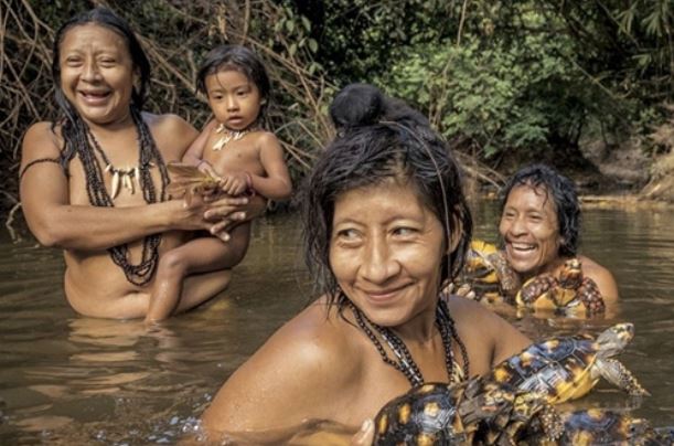 B&#xED; &#x1EA9;n b&#x1ED9; t&#x1ED9;c cho &#x111;&#x1ED9;ng v&#x1EAD;t hoang d&#xE3; b&#xFA; s&#x1EEF;a nh&#x1B0; em b&#xE9;, c&#xF3; nguy c&#x1A1; tuy&#x1EC7;t ch&#x1EE7;ng cao nh&#x1EA5;t h&#xE0;nh tinh