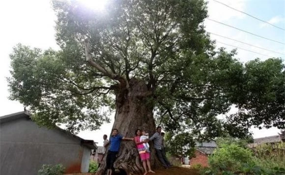 câu nói của người xưa, câu nói ý nghĩa, những câu nói về cuộc đời