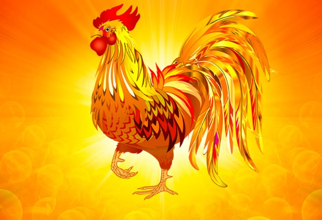 Tử vi tuổi Dậu tháng 12/2024: Vận trình thăng hoa, mở ra tương lai đầy hứa hẹn