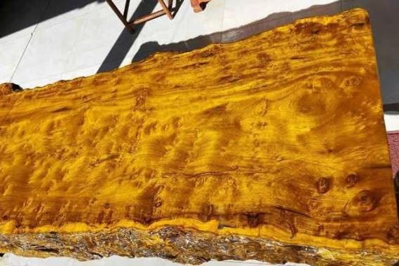 Cận cảnh cây gỗ Kim Tơ Nam Mộc được bán với giá gần 9.000 tỷ đồng, báu vật có '1-0-2' trên đời