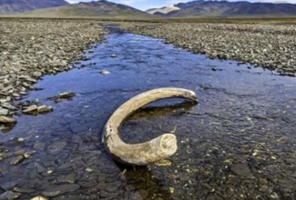 Bé gái 8 tuổi tìm thấy 'báu vật' 100.000 năm tuổi khi đi câu cá cùng bố