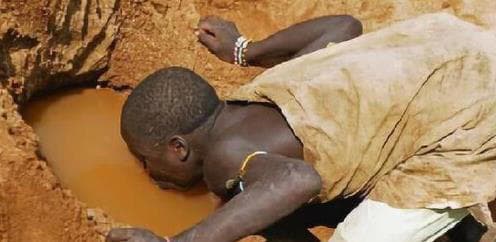 Tại sao người châu Phi không trồng lương thực dù đất đai ở châu Phi màu mỡ? Hóa ra có hai “báu vật” lớn mọc trên cây