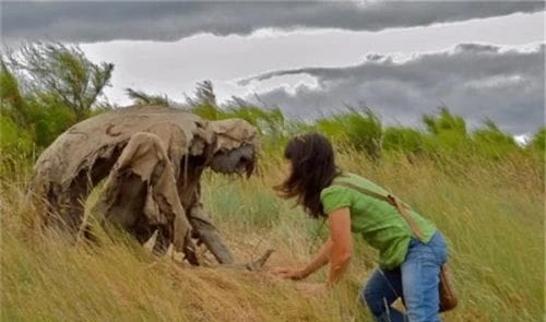 quái vật, chuyện lạ