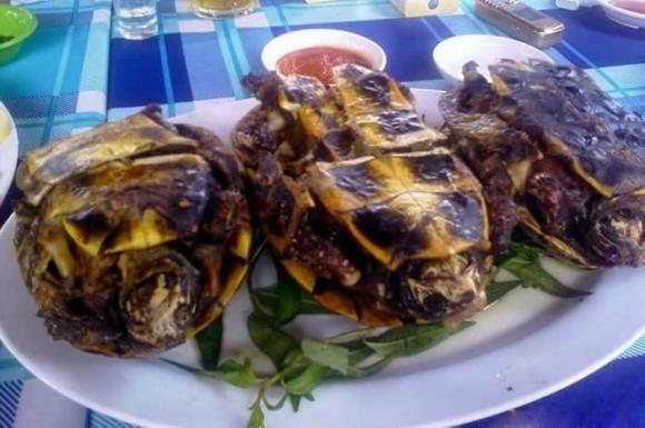 Món ăn đắt nhất Việt Nam là món nào?