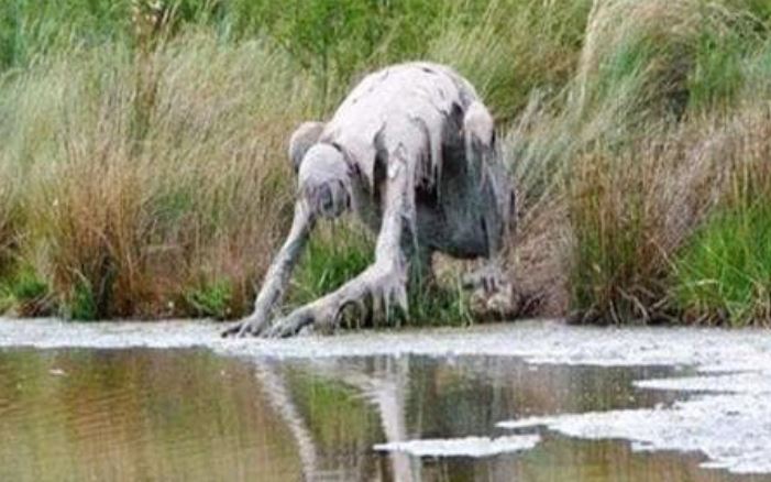 Người phụ nữ ban đầu đi dạo bên bờ sông và phát hiện một 'quái vật' đang nằm uống nước, khi đến gần, cô hoảng sợ