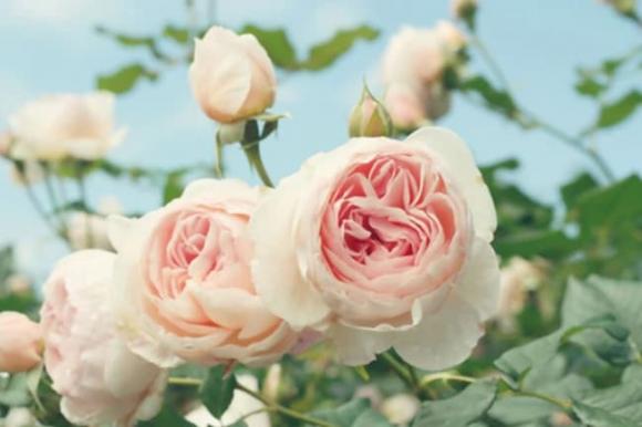 Thần Tài ưu ái, người sinh vào 3 tháng này sẽ có cuộc đời hạnh phúc và may mắn không ngừng