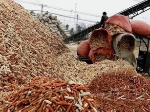 Thứ người Việt mang đun bếp hoặc cho lợn ăn ở nước ngoài là một 'mỏ tiền', nhiều người muốn mua không có