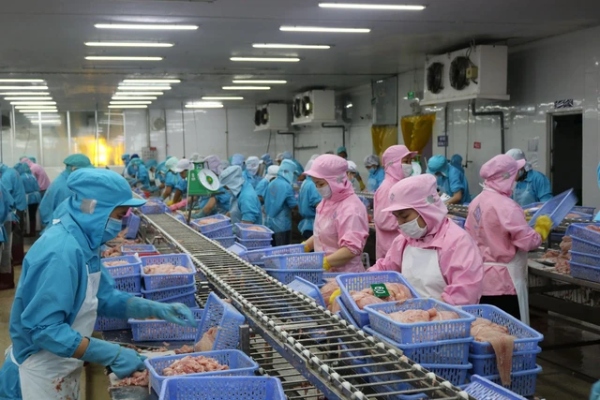 VASEP: Vướng thủ tục hoàn thuế, doanh nghiệp thuỷ sản áp lực về dòng tiền 