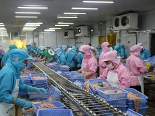 VASEP: Vướng thủ tục hoàn thuế, doanh nghiệp thuỷ sản áp lực về dòng tiền