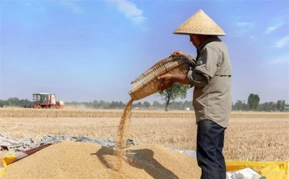 cổ nhân, người xưa, cổ nhân dạy, Đàn ông sợ tháng Tám, đàn bà sợ tháng Chạp 