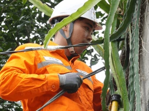 Điện lực miền Bắc bảo đảm điện ổn định 27 tỉnh thành trong tháng 11